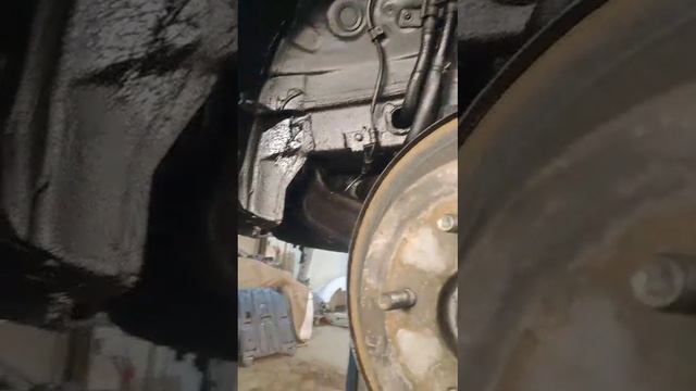 1000083699.mp4