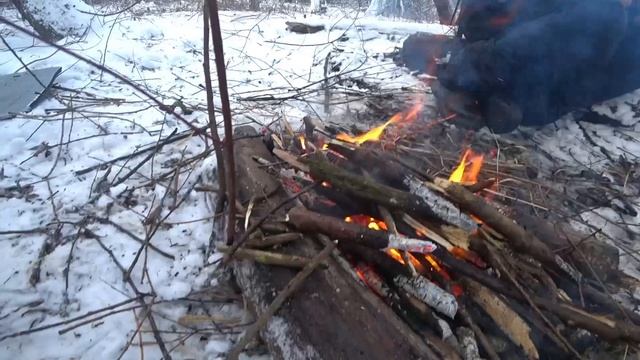 1 января шашлык с кабачками на костре. Вкусных праздников