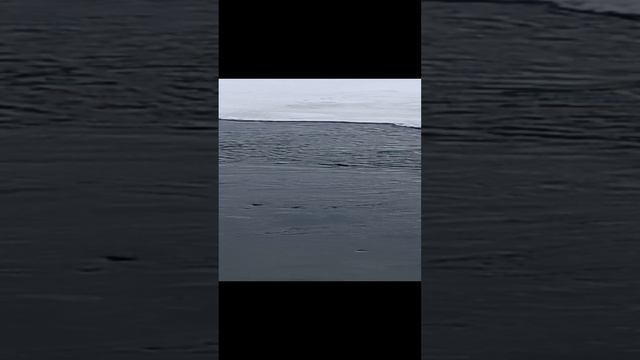 1000003445.mp4