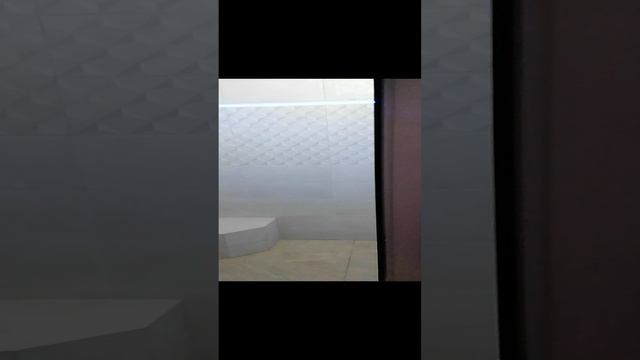 VID_20241117_161342.mp4