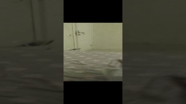 TV порошок новости!!!