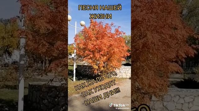 scene_output.mp4г