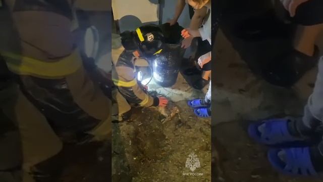 🐕Собаку вытащили из ледяной воды Москвы-реки🐕