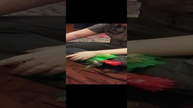 VID_20250101_142010.mp4