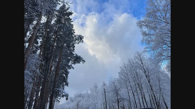 Новогодняя гонка, Волкуша, 31.12.2024