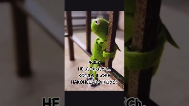ЖДУН НЕ ДОЖДУСЬ