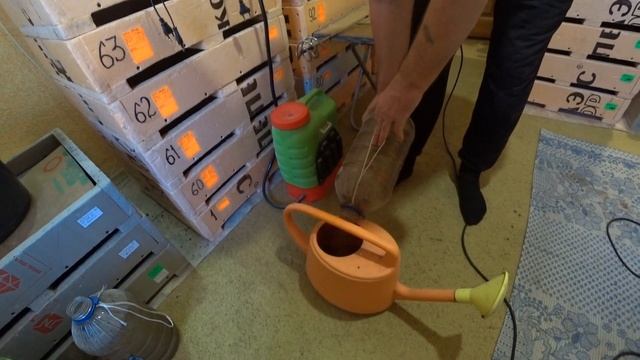 Бактерии и микроорганизмы в помощь червю!