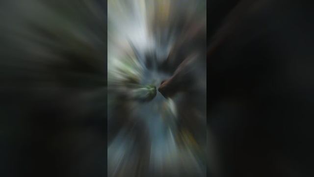 супер герой+животные=?