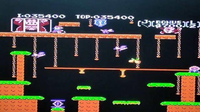 Donkey Kong junior old dendy games