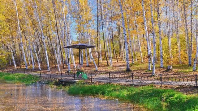 Осенняя элегия. Как красив ты амурский наш край