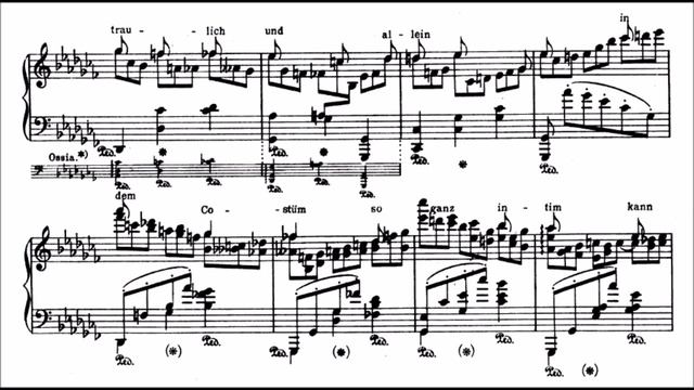 Strauss-Godowsky - Symphonic Metamorphosis on _Die Fledermaus_ (CHRISTMAS AND NEW YEAR FINALE) (2)