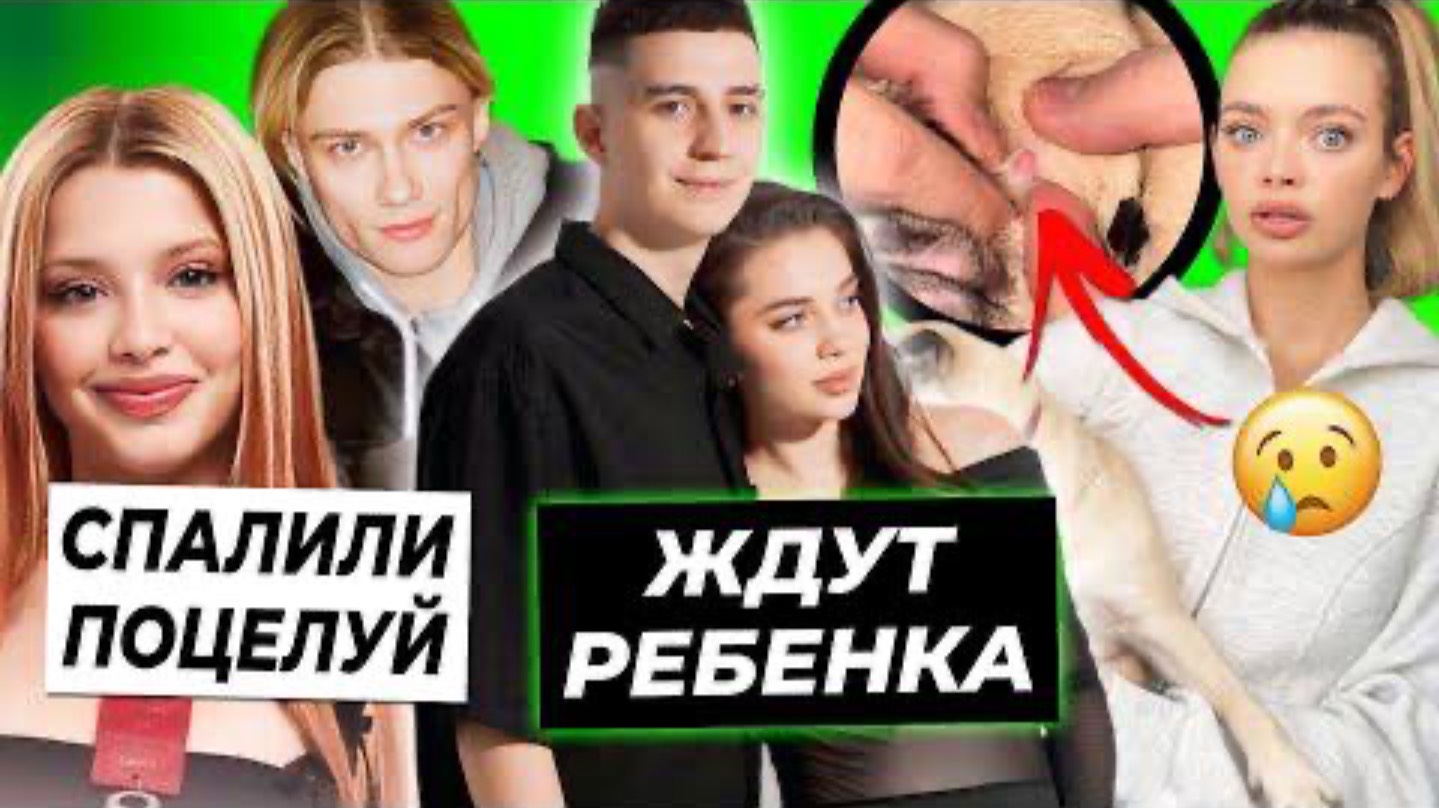 OK.BLOGER. Глент станет отцом / ПОЦЕЛУЙ Юли и
Nkeeei на катке / У мопса Ани и Димаса нашли рак?