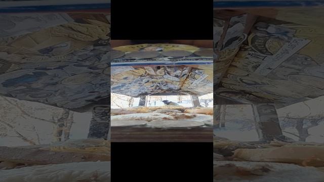 1000036073.mp4Р/А."Кормушка".01.01.2024г.