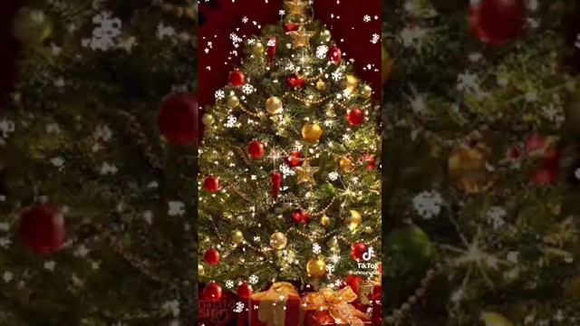 VID_20241231_175311_683.mp4