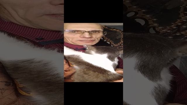 1000036957.mp4