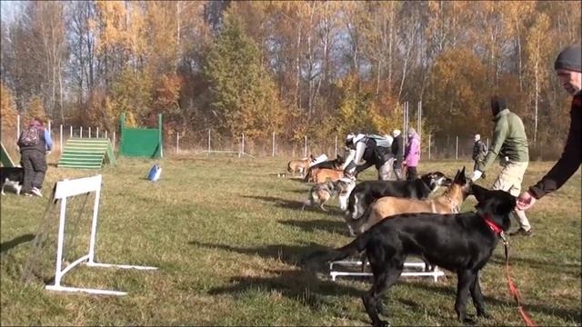 Наша школа Фрагменты групповых занятияй  октябрь