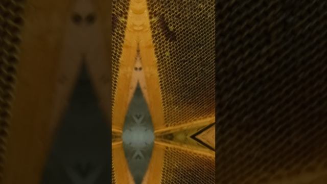 🍯 Невероятно густой мёд 🫣