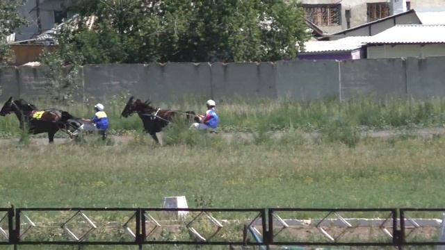 Бега-4-х лет и старше. Абакан 25.07.2015 г. (Лошади-Horse–Animal-racing-конь-смотреть-онлайн-скачки)