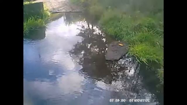 Тест комфорсеров в ручье Македонка.
