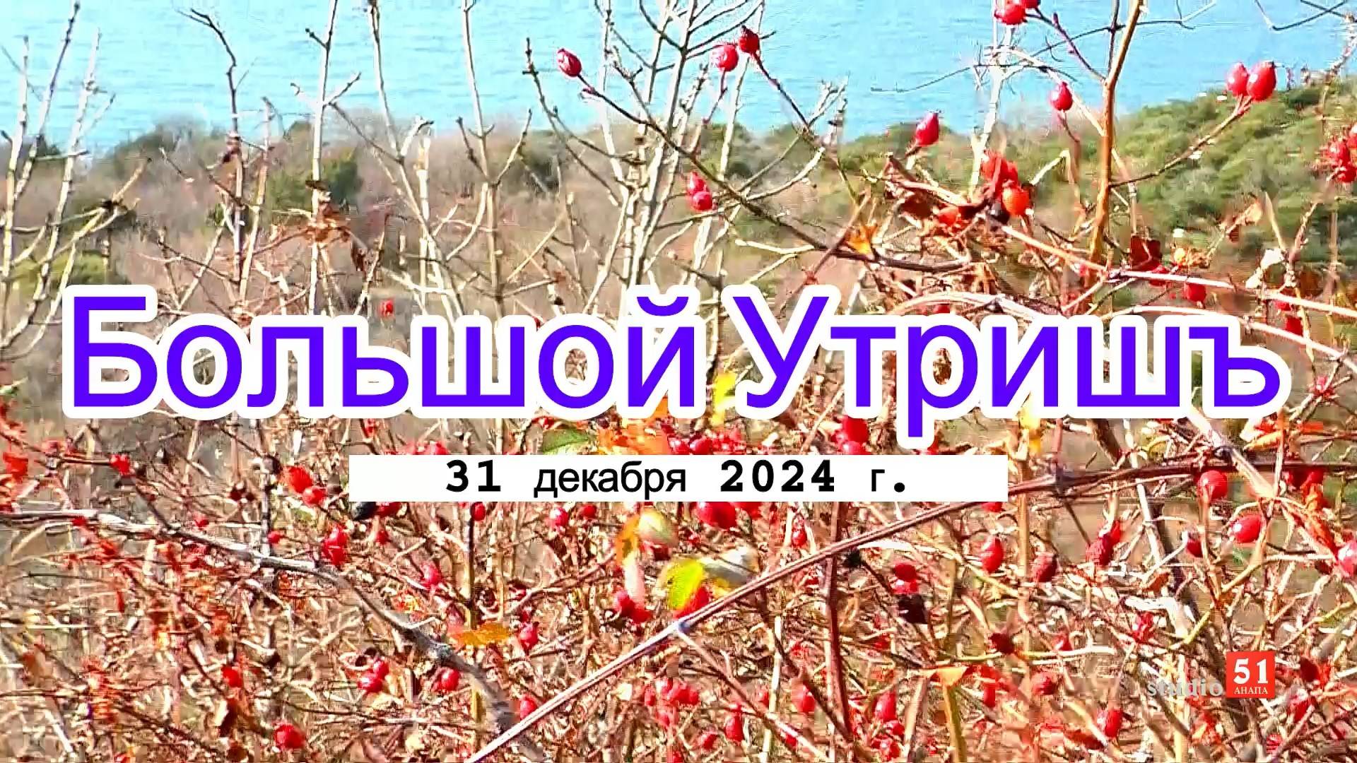 Анапа, Большой Утриш, 31 декабря 2024 г.