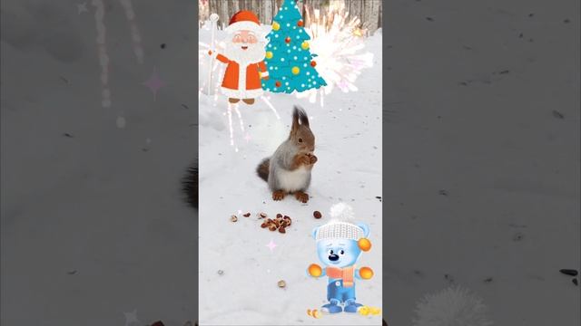 1000101578.mp4