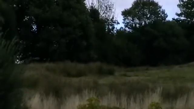 Dolau late summer Trike & Bike meet video red kites 050