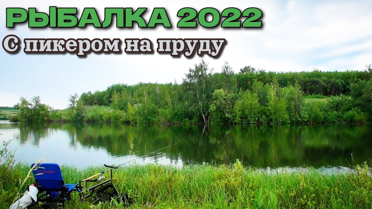 Дождь рыбалке не помеха . Рыбалка на пруду