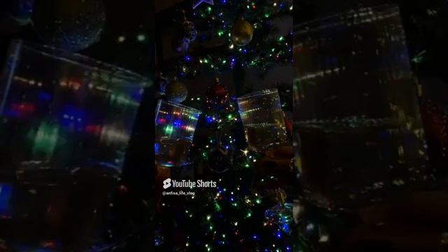 С Новым годом, с новым счастьем#новыйгод#anfisa_life_vlog