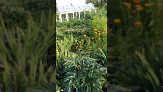 1000006723.mp4