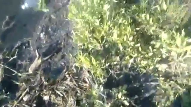 Енакиево -это питьевое резервное  водохранилище