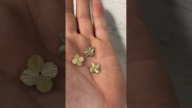 1000013269.mp4