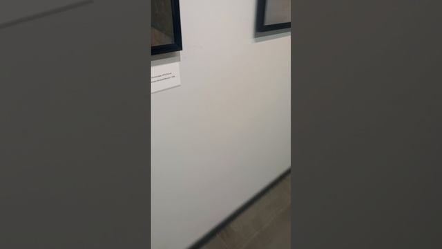 scene_output.mp4