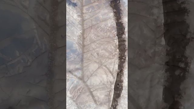 Красивый город Иркутск в куржаке 1 января.