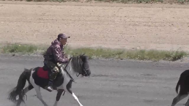 Скачка пони-упал, но он дошел до финиша-race ponies-fell twice, but he reached the finish line