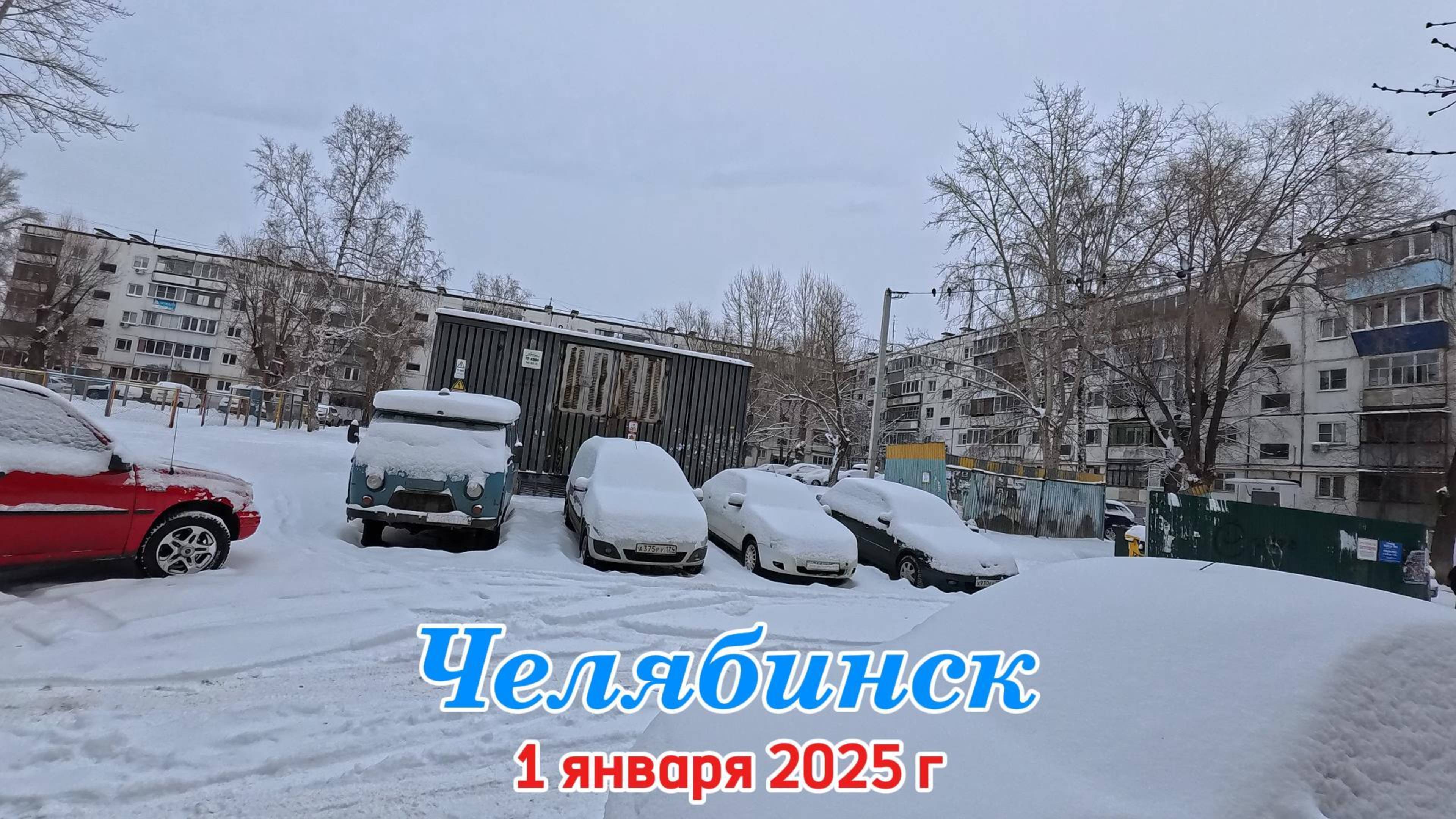 Гуляем в Экопарке и по городу Челябинск 1 января 2025 г