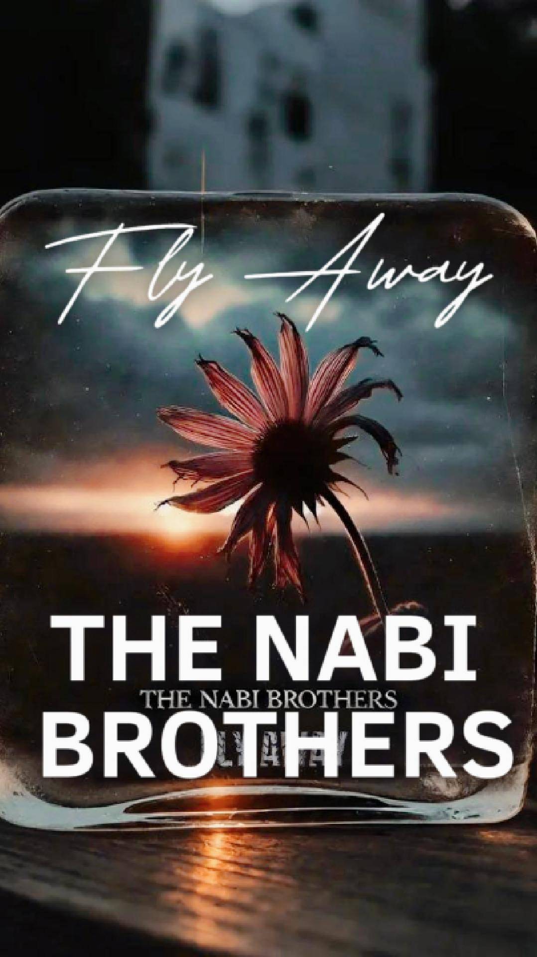 THE NABI BROTHERS - FLY AWAY