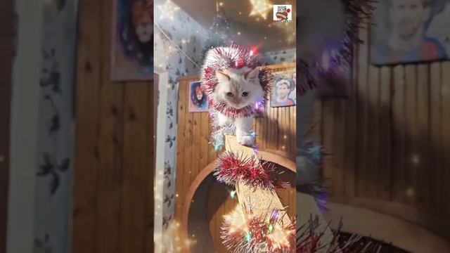 Счастливого Нового года ❄️🎄🎅💝😻