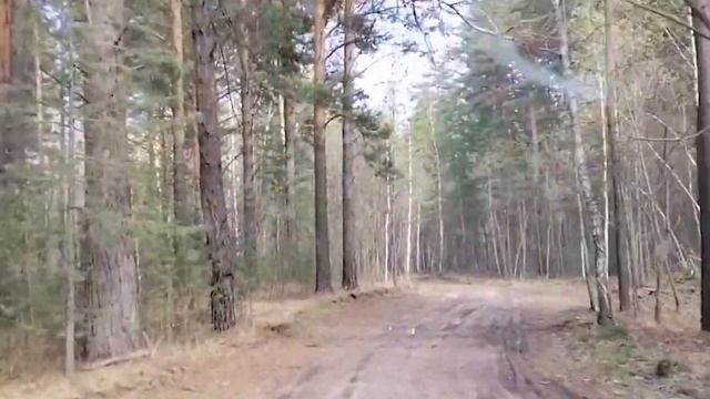 Таинственное озеро Данилово - одно из пяти мистических озёр!