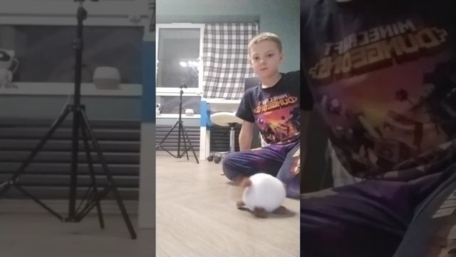 scene_output.mp4