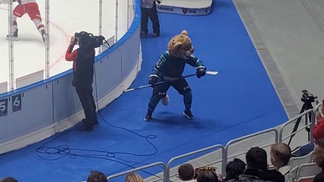Хоккей