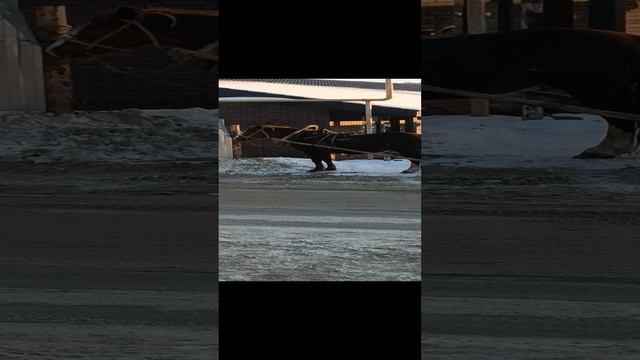 Лучший транспорт