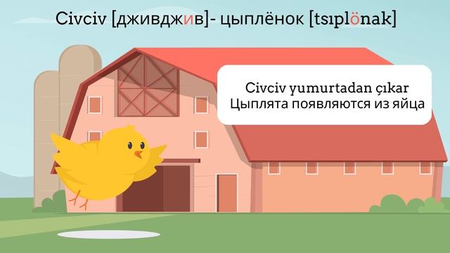 Учим турецкие слова в картинках. Урок 9. Животные дома