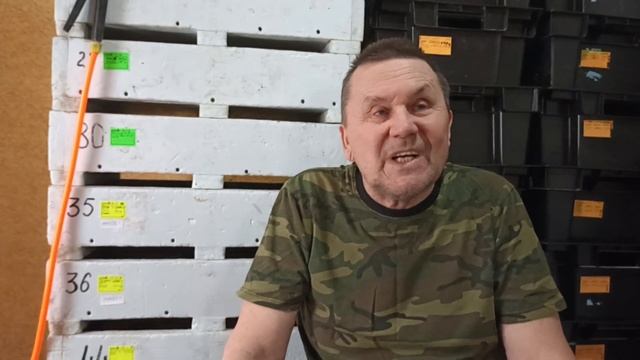 Кратко о некоторых видах червя.