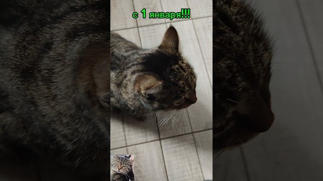 1 января...