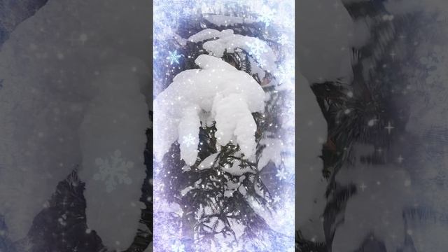 С Новым годом❤ 🎄☃️❄