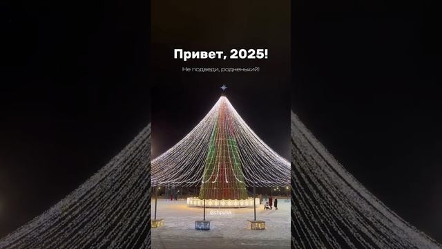 С Новым 2025 годом! #ульяновская_область #ульяновск