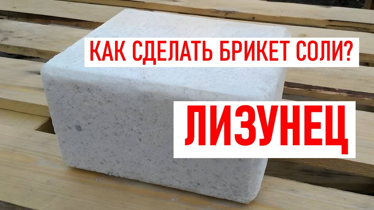 Пресс для производства соли лизунца