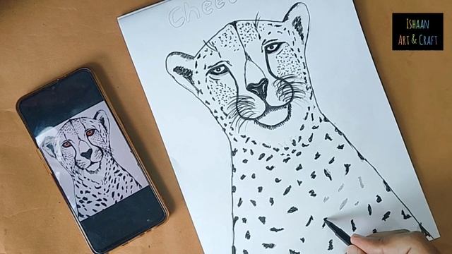 How to draw cheetah? Easy Draw | #kidsart #drawing #easydraw #cheetah #youtubekids #leopard