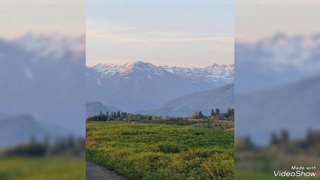 "Любовь" (В 1 попробовал себя в закадровым голосе )