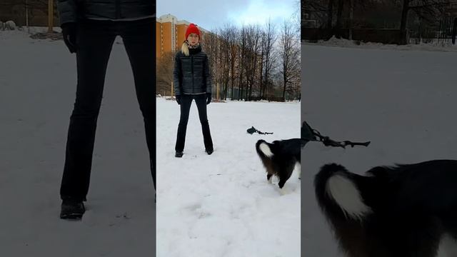 БК Мика - левый флип, начало